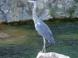 Tiergarten Schönbrunn am 03.10.2025